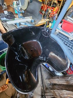 Shower head sink