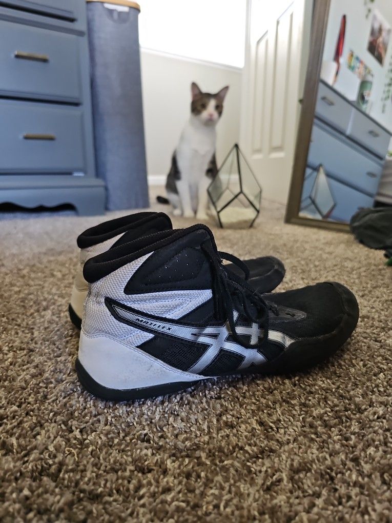 Asics Wrestling Shoes (used)