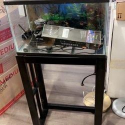 Fish Tank 
