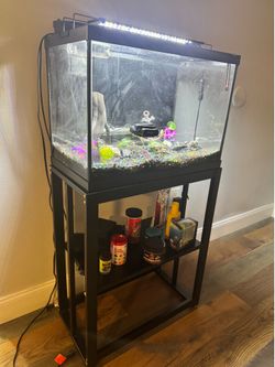 40-Gallon Fish Tank for Sale  ( pecera de 40 galones)