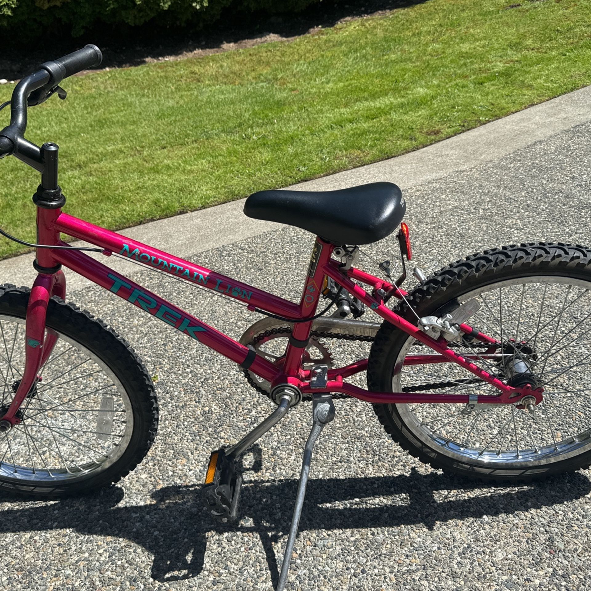 Trek Girls Bike