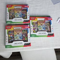 First Partner Collection 