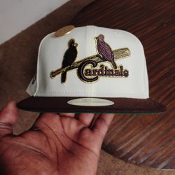 St. Louis Cardinals 7 1/2 Exclusive Hat