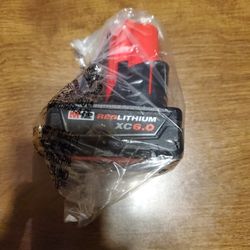 Firm. Milwaukee M12  6.0 Battery.  New. Never Used.  65$. No Offers Accepted 