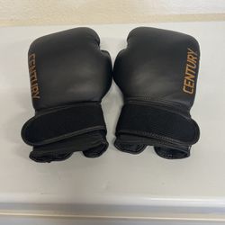 Century Comfortable Adult Boxing Gloves
