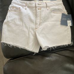 Women Shorts