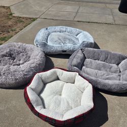 4 dog beds all for $25
