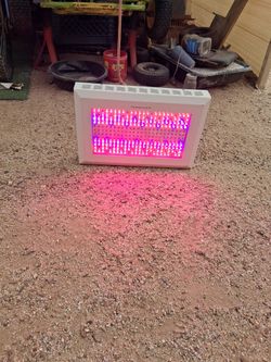 Illuminator pro series grow light