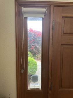 Entry Door Roller blinds