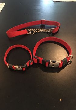 Puppy dog collars