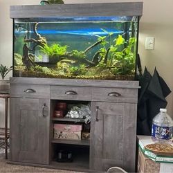 Fluval Shaker Aquarium Set, 66.5 US Gal / 252 L Aquarium & Stand