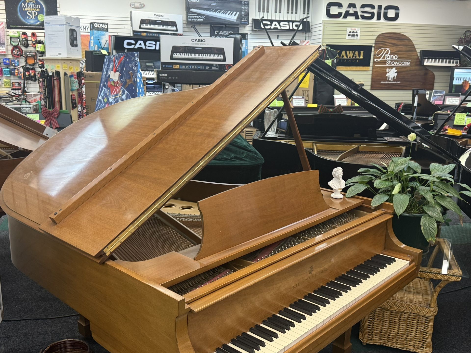Steinway Model M Grand Piano