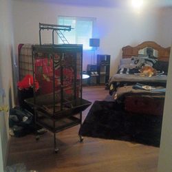 Cage With All The Bells And Whistles 