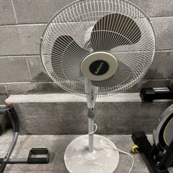 Fan 