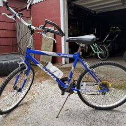 Mountain Bike