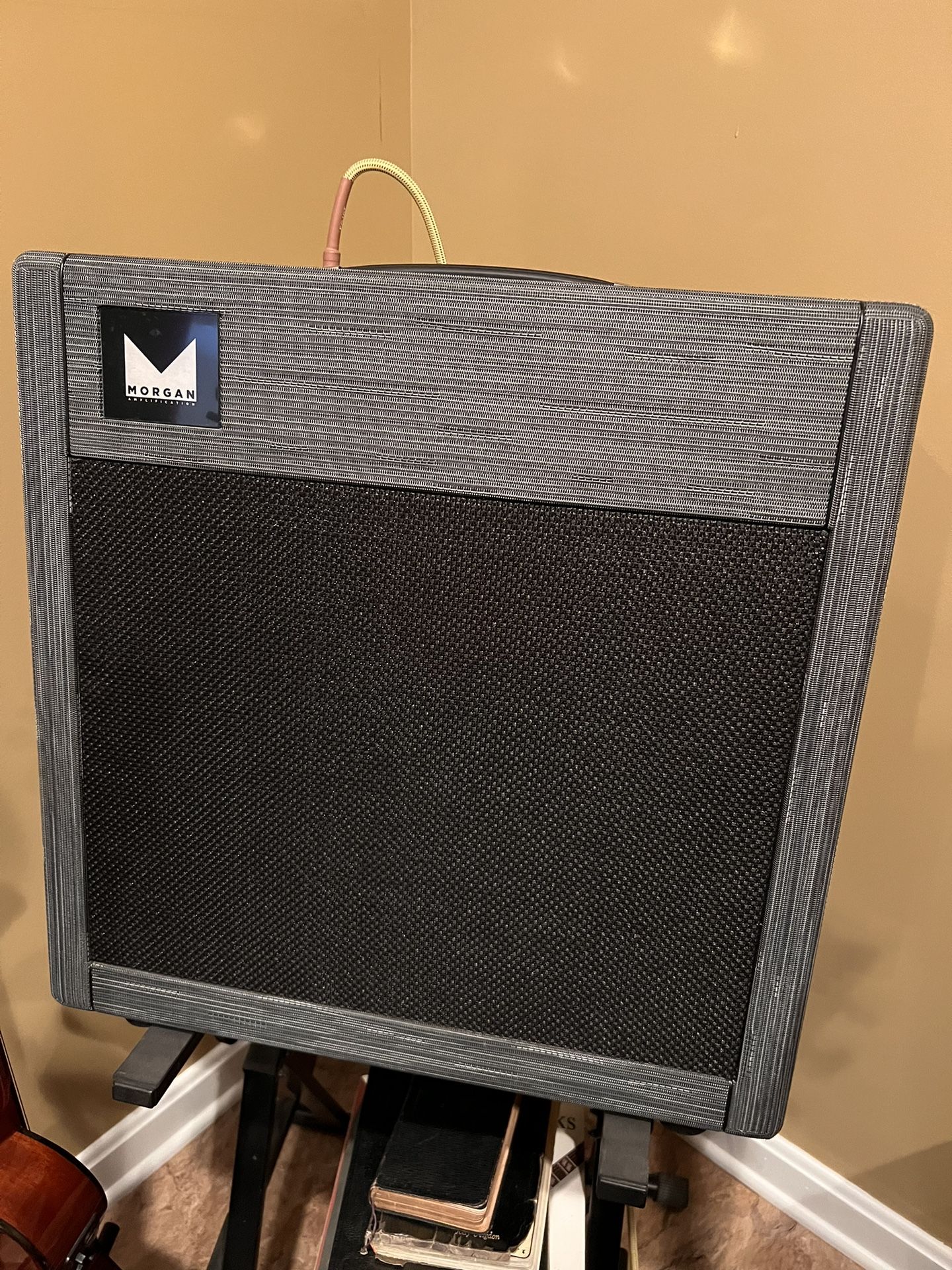 Morgan Ac 20 Amp