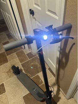 Adult 36V Electric Scooter