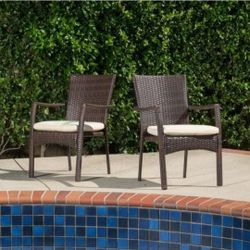 💥P37#7 $145 Noble House Corsica Multi-brown Plastic Outdoor Dining Chairs with Cream Cushions (Set of 2