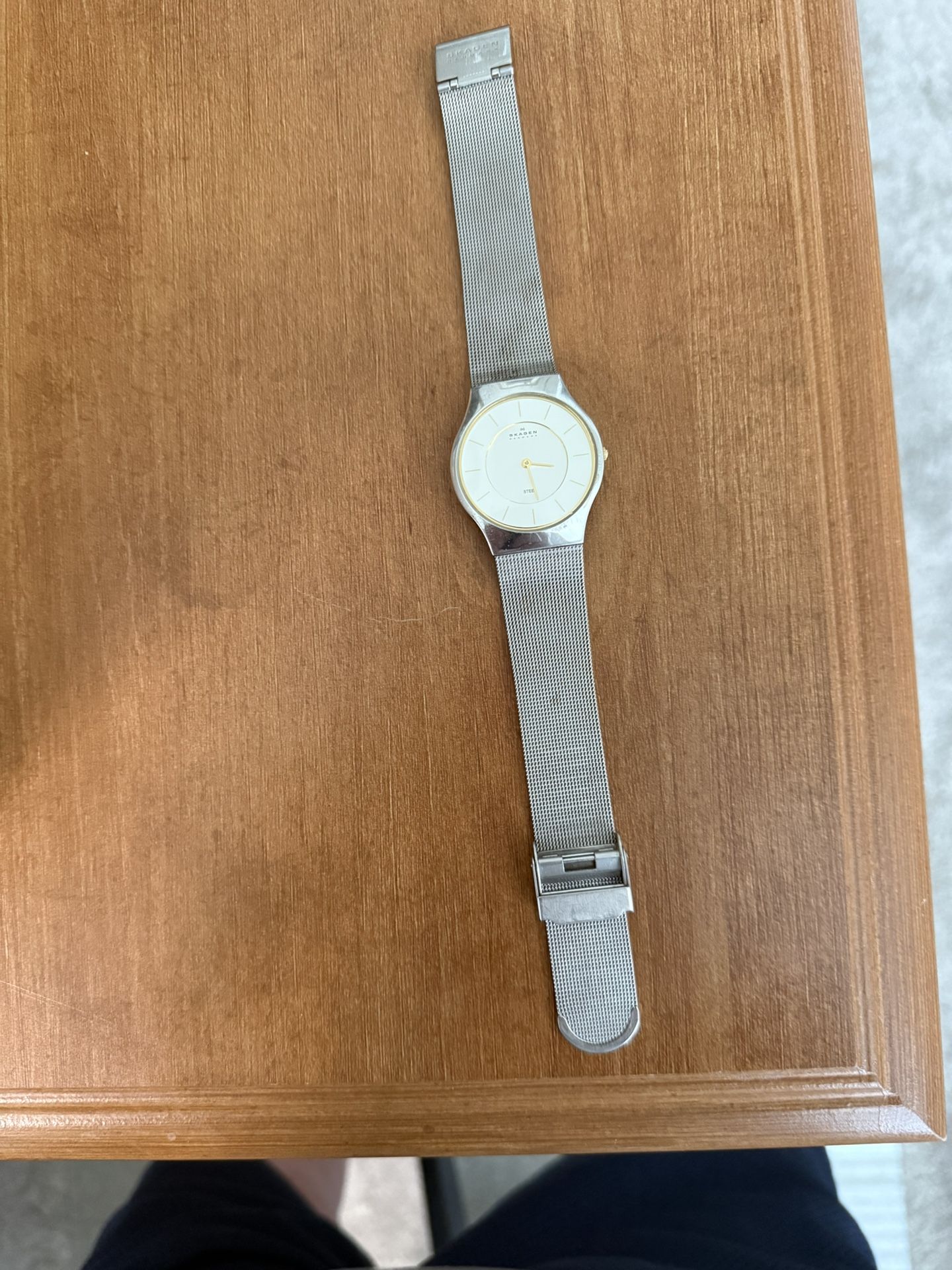 Skagen Mesh Watch