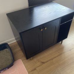 Hidden Cat Litter Box