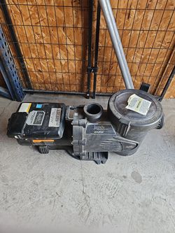 Jandy Variable Speed Pump (No control)