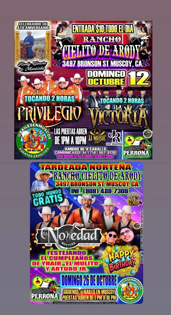 Todos Los Domingo's