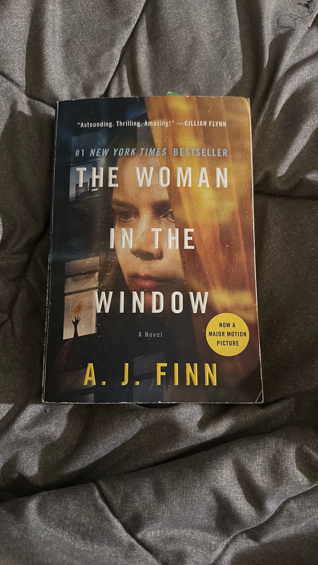 Book The Woman In The Window