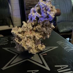 Base Life Salt Water Tank Rock