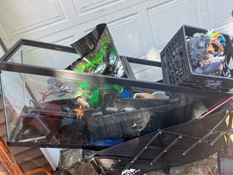 55 gallon fish tank and decorations