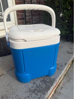 Small igloo cooler