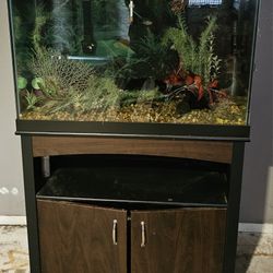 65 gallon Fish Tank & Stand 
