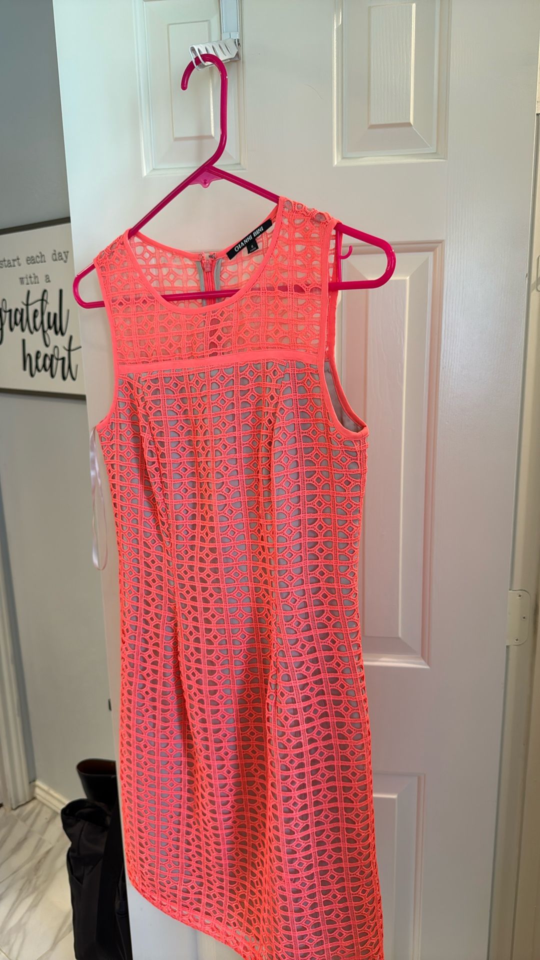 Pink And nude Dress.