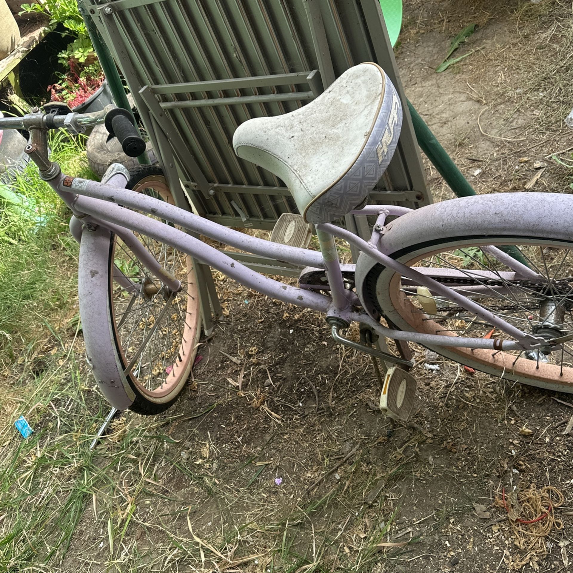Cruiser