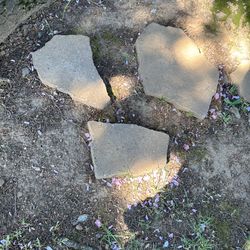 Free pavers/stepping rocks