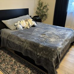 Queen Bed Frame 