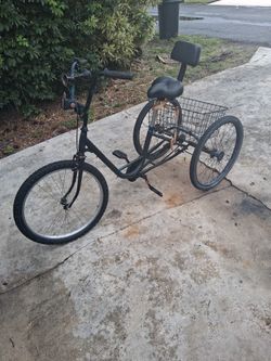 3 Wheel Bicycle