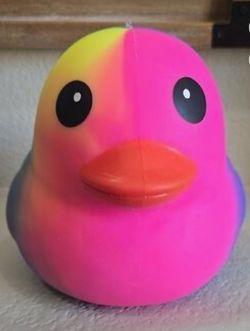 Squeeezy  Rainbow  Duck