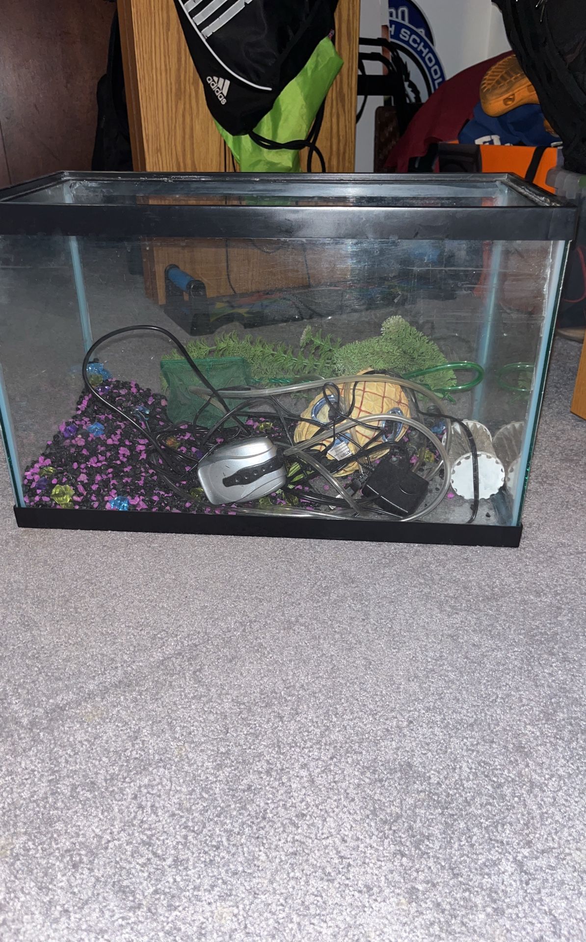 10 Gallon Fish Tank