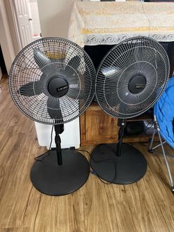Lasko fans