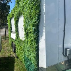 2021 16” Foodtrailer