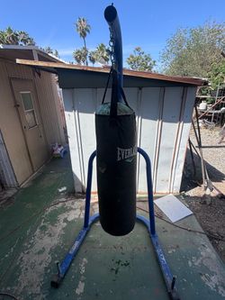 Everlast Heavy Bag with Stand