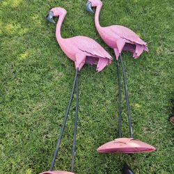 12 Pieces Flamingos