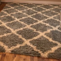 Shag Area Rug 7x10