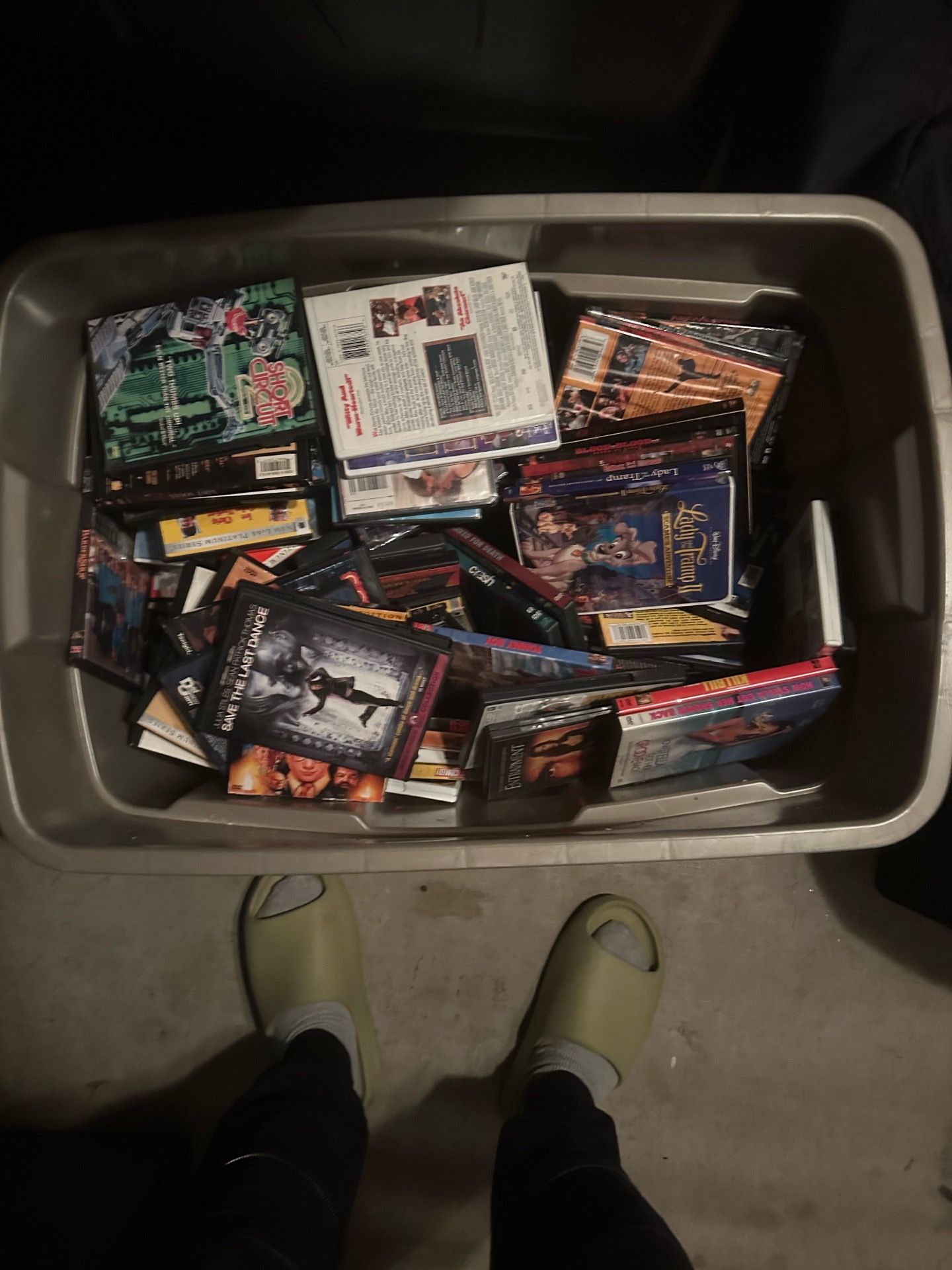 DVD collection