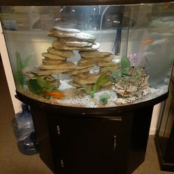 Fish Tank 55 Gallon