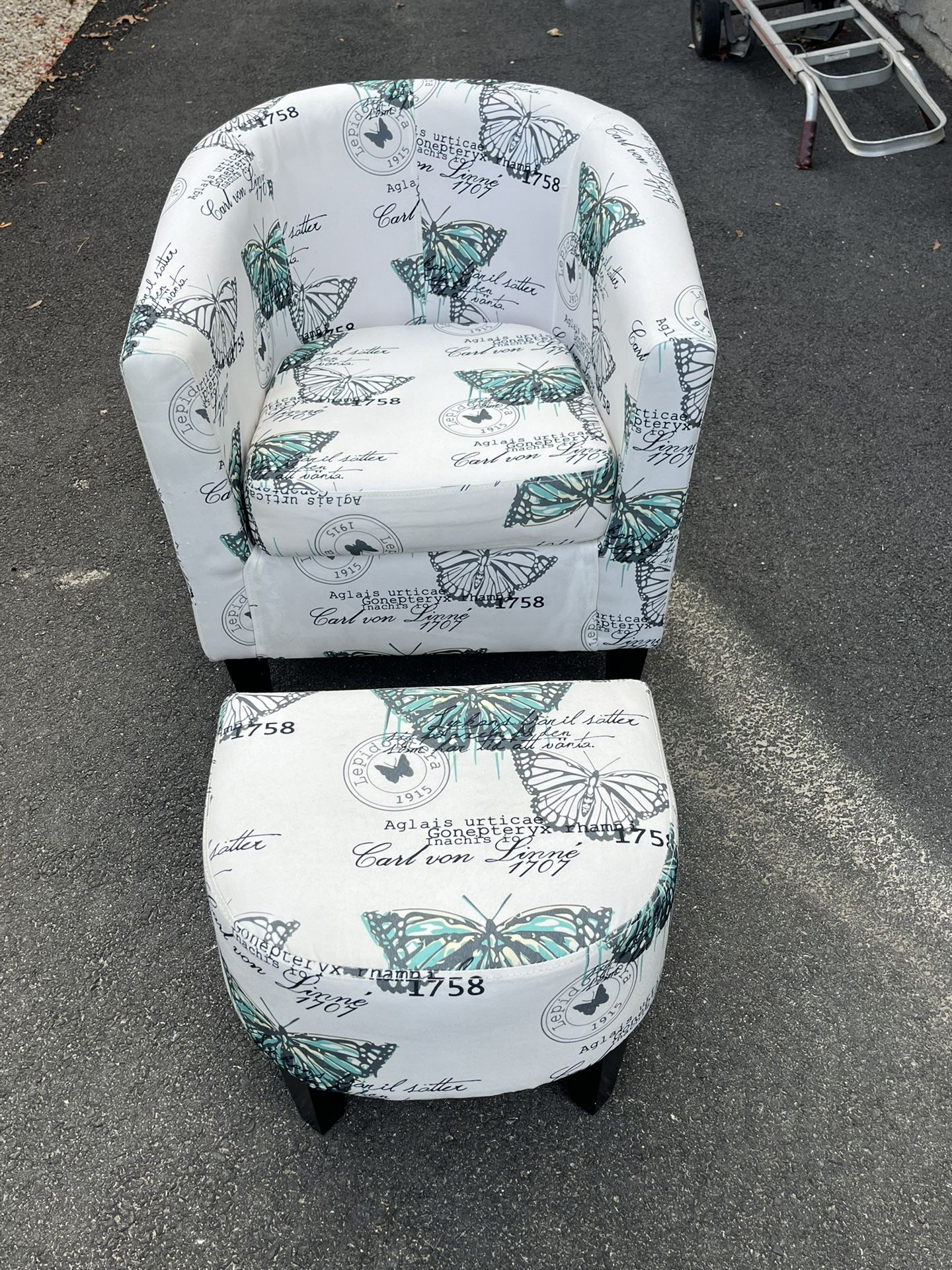 Butterfly Chair with Ottoman