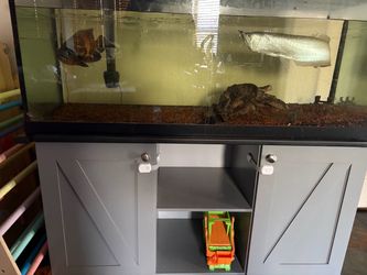 75 gallon tank, stand and fish plus filter