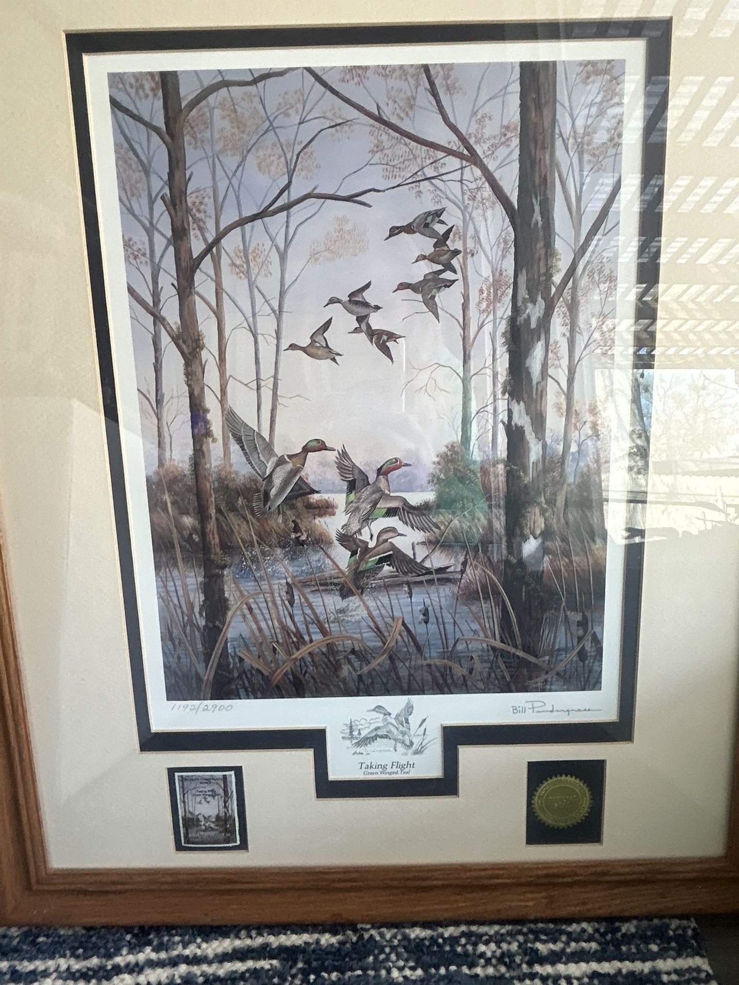 Taking Flight By Bill Pendergass