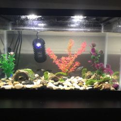 Fish tank/ read description