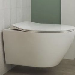 Elongated Wall Hung Toilet Included Seat